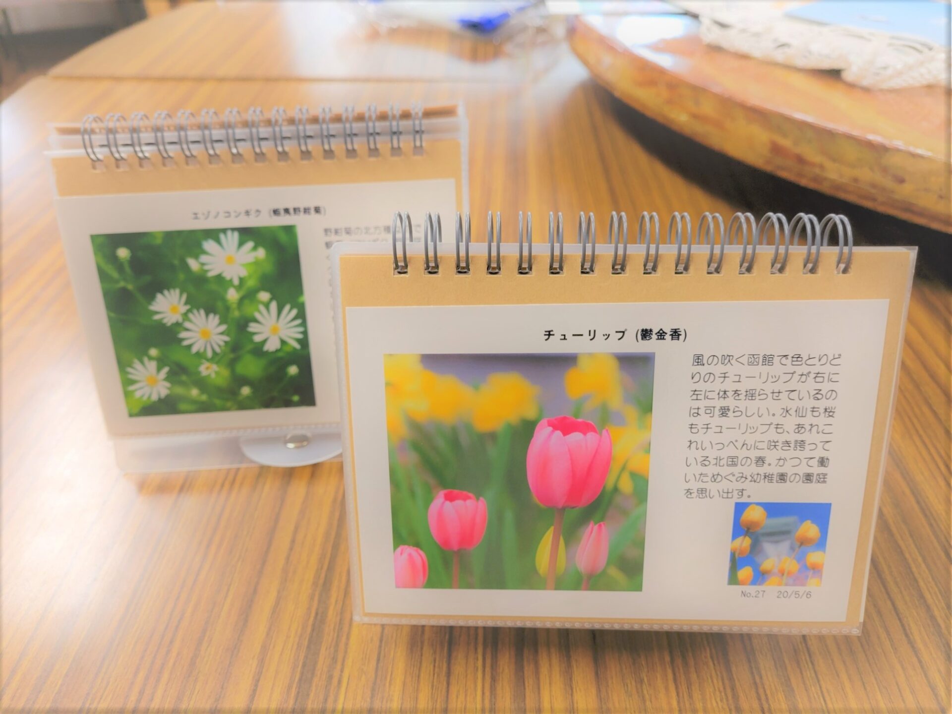 函館ルーテル教会 庭の花大全 選集